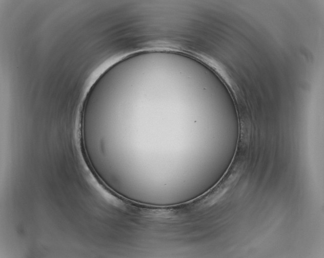 X0000115201387200911121833