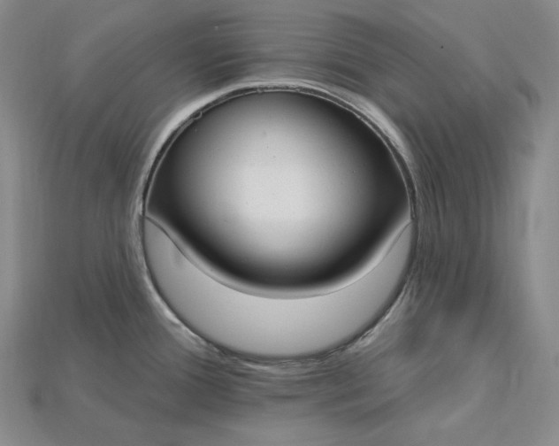 X0000115201388200911121833