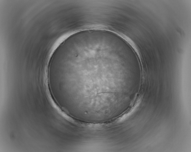 X0000115201389200911121833