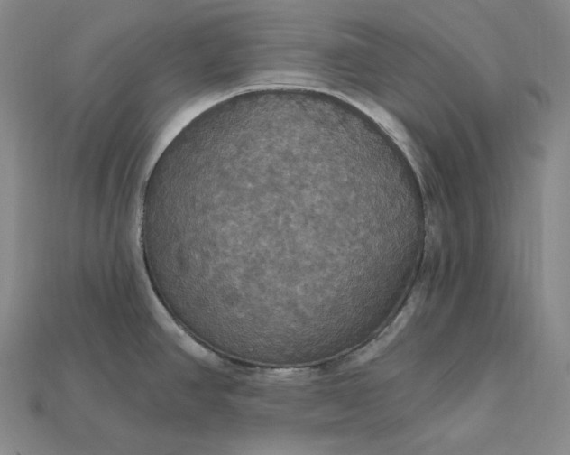 X0000115201390200911121833
