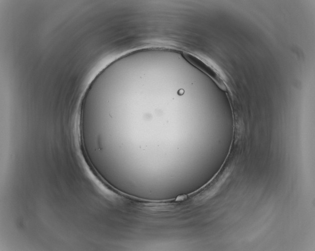X0000115201391200911121833