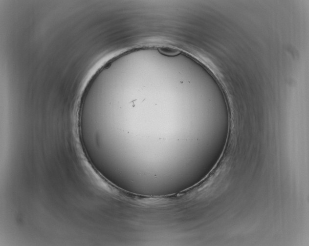 X0000115201392200911121833