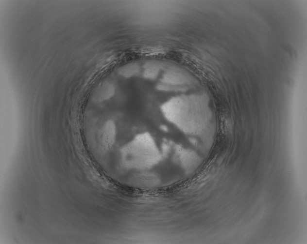 X0000115201393200911121832