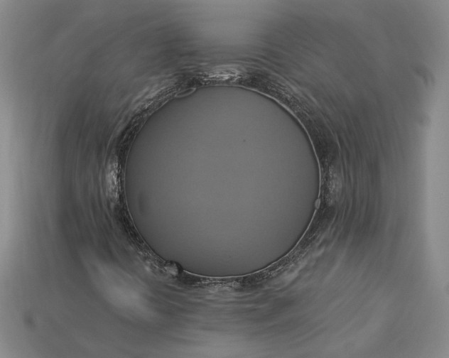 X0000115201394200911121832