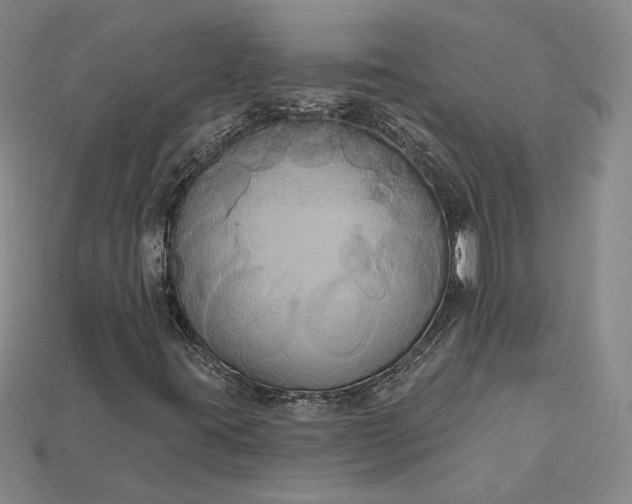 X0000115201395200911121832