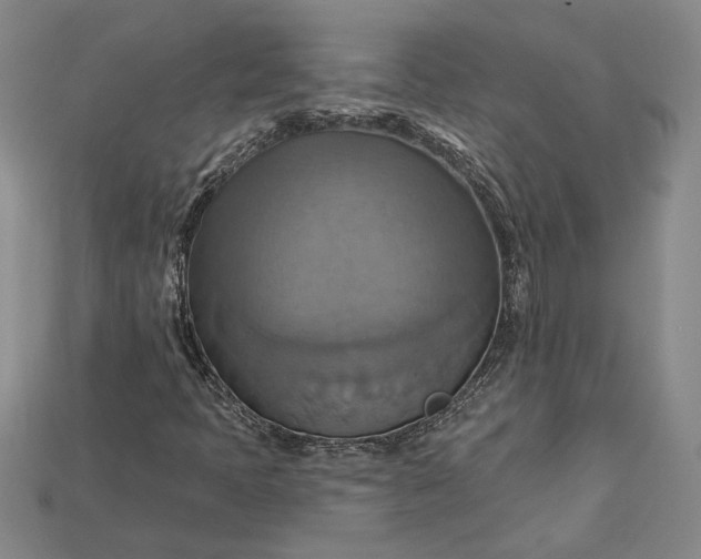 X0000115201397200911121832
