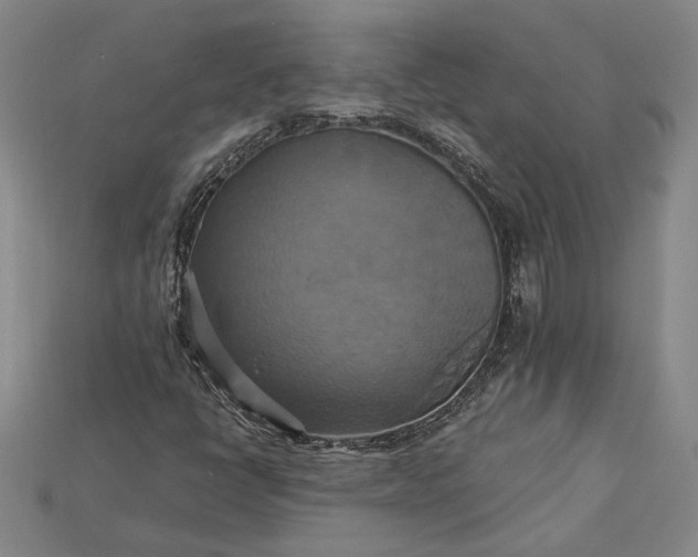 X0000115201398200911121832