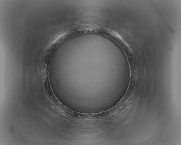 X0000115201399200911121832