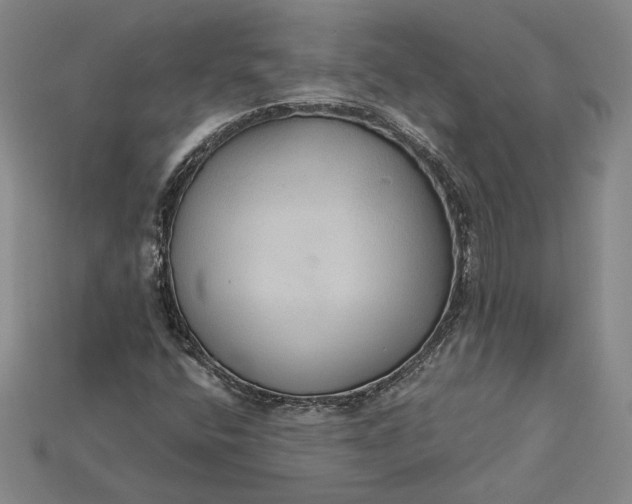 X0000115201400200911121832