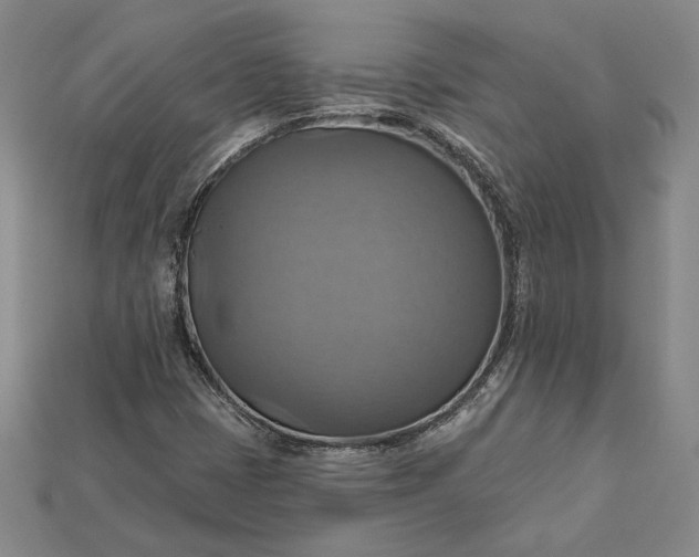 X0000115201401200911121832