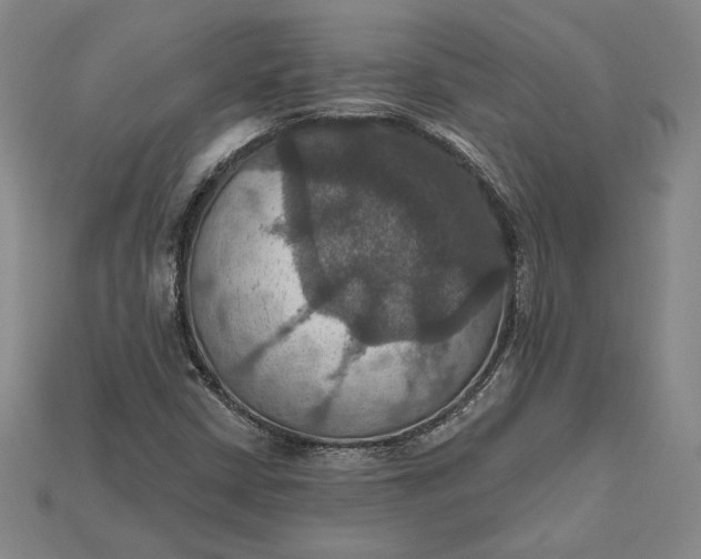 X0000115201402200911121832