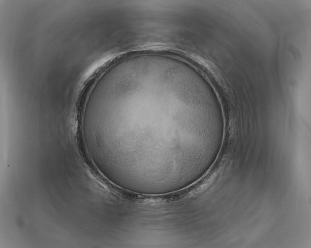 X0000115201406200911121832