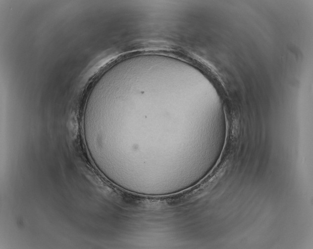 X0000115201407200911121832