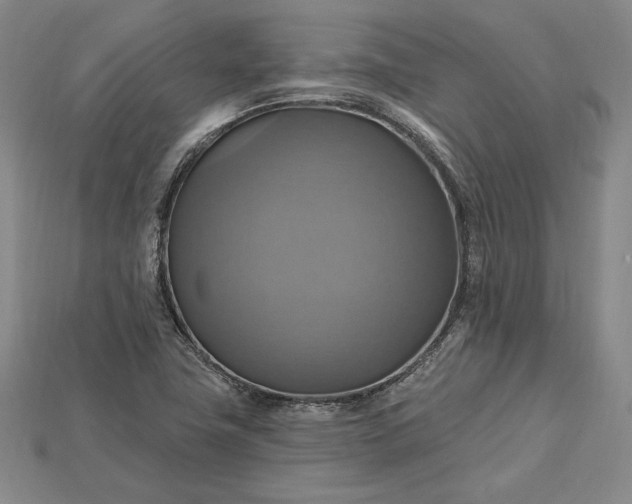 X0000115201411200911121832
