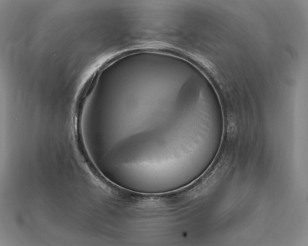 X0000115201414200911121832