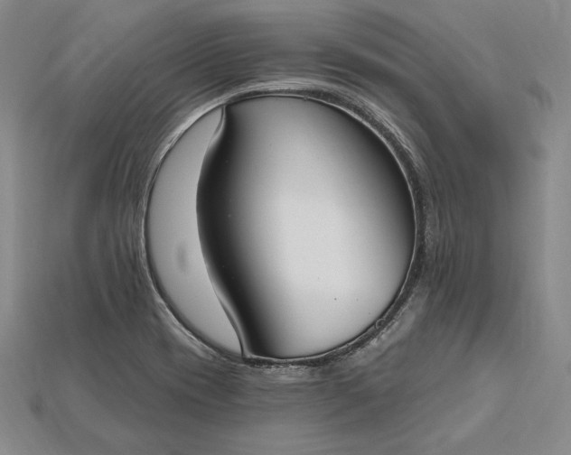 X0000115201417200911121832