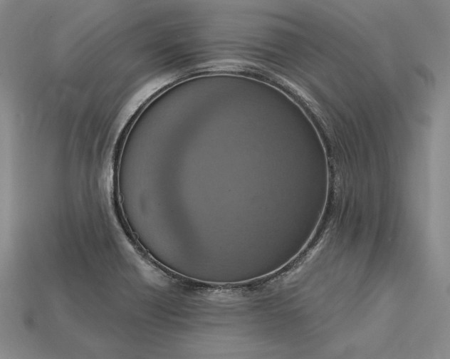 X0000115201418200911121833