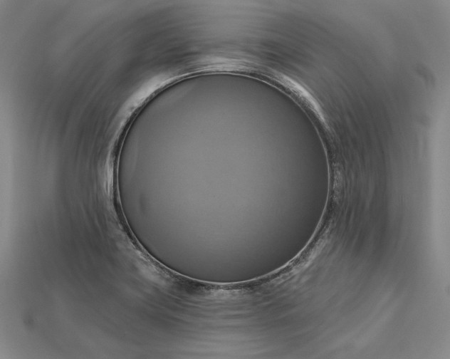 X0000115201419200911121833