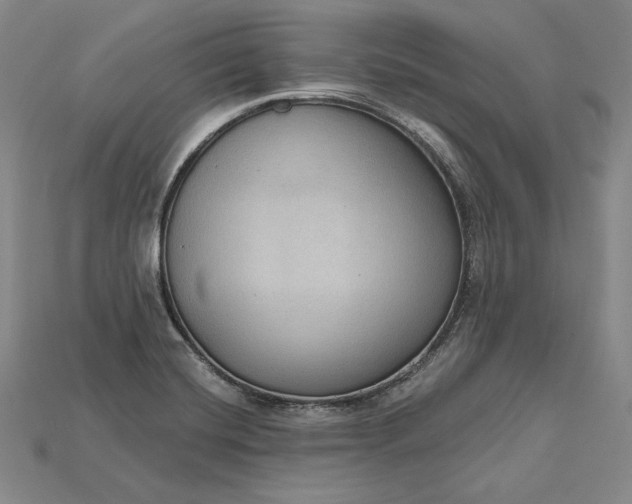 X0000115201420200911121833