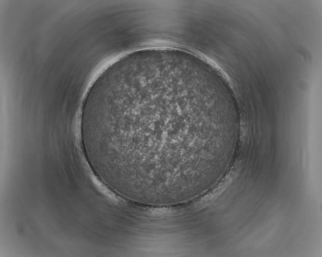 X0000115201421200911121833