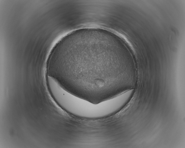 X0000115201424200911121833