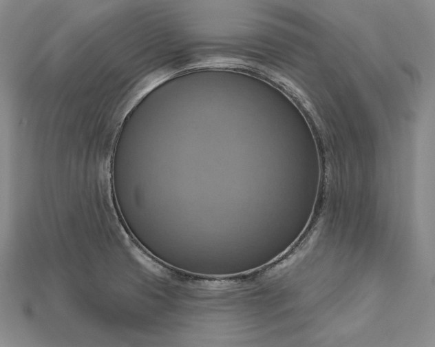 X0000115201425200911121833