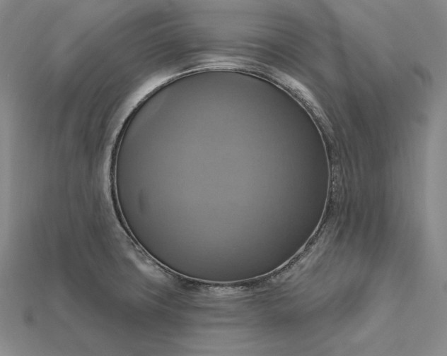 X0000115201427200911121833