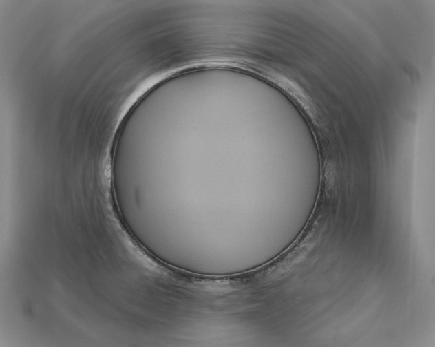 X0000115201428200911121833