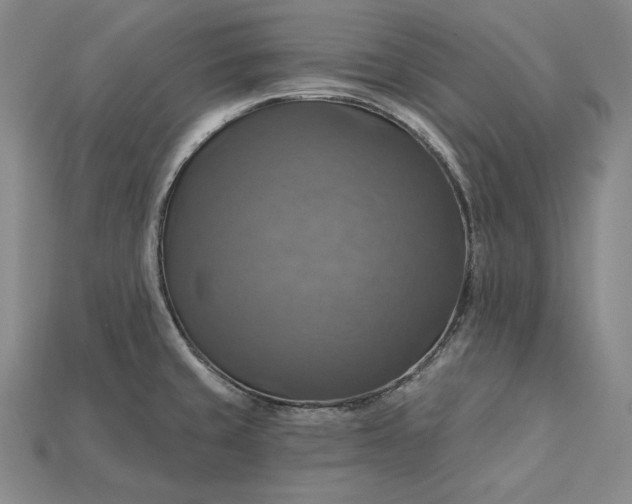 X0000115201429200911121833