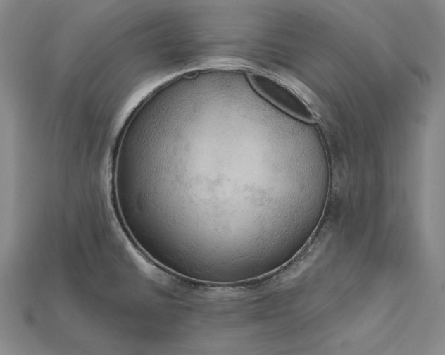 X0000115201430200911121833
