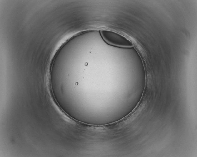 X0000115201432200911121833
