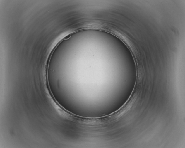 X0000115201434200911121833