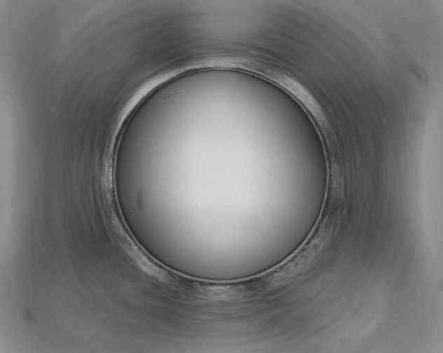 X0000115201436200911121833