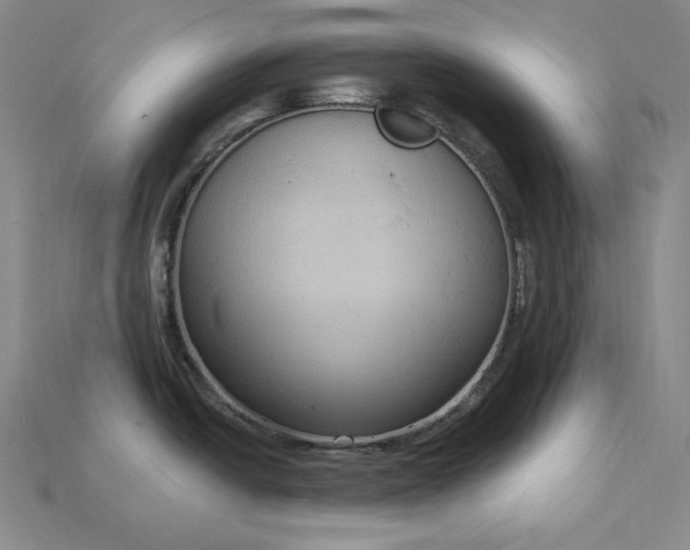 X0000115201438200911121833