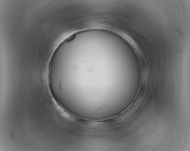 X0000115201439200911121833