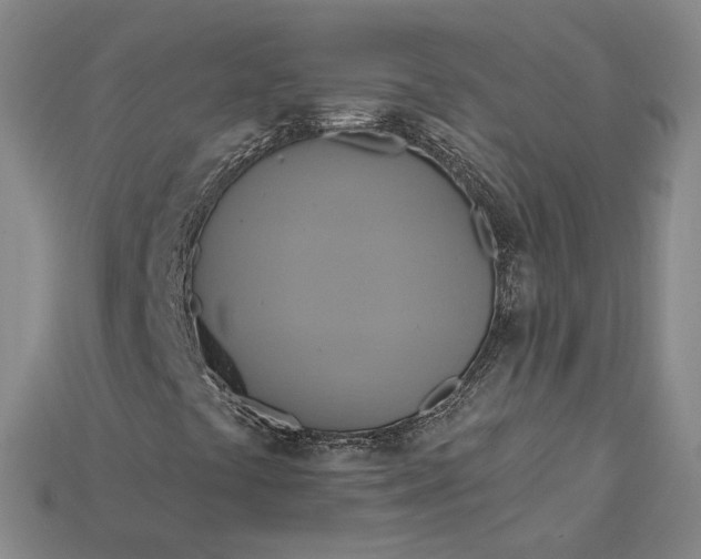 X0000115201441200911121832
