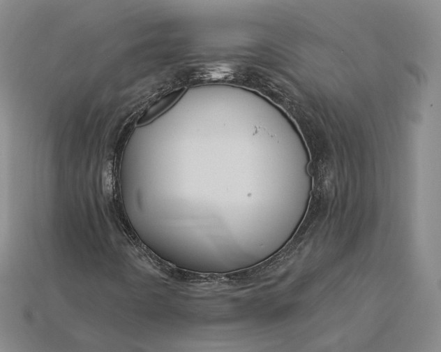 X0000115201442200911121832