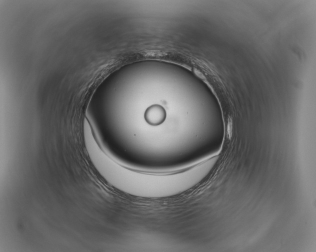 X0000115201444200911121832