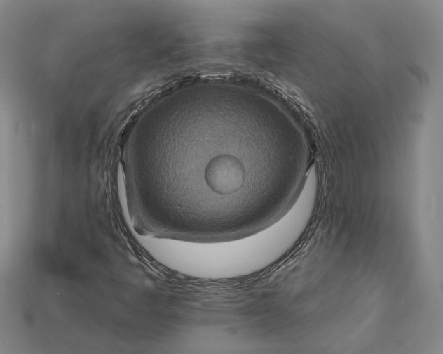 X0000115201445200911121832