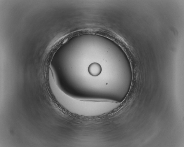 X0000115201448200911121832