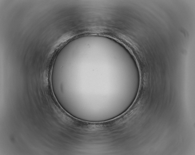 X0000115201451200911121832