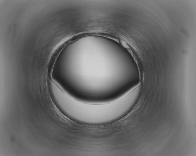 X0000115201452200911121832