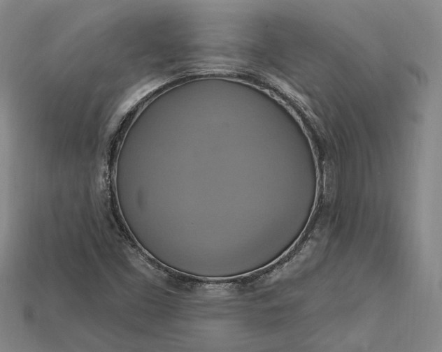 X0000115201453200911121832