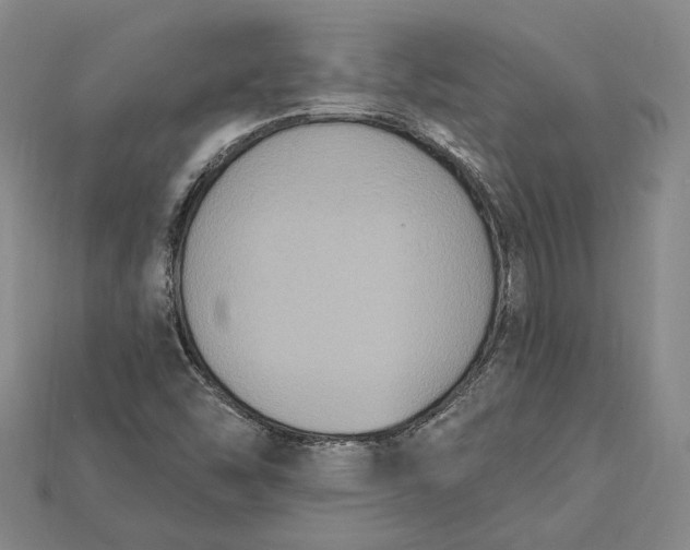 X0000115201454200911121832