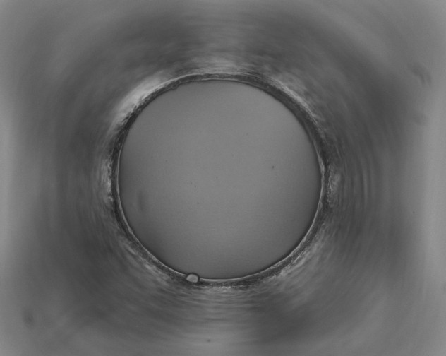 X0000115201455200911121832