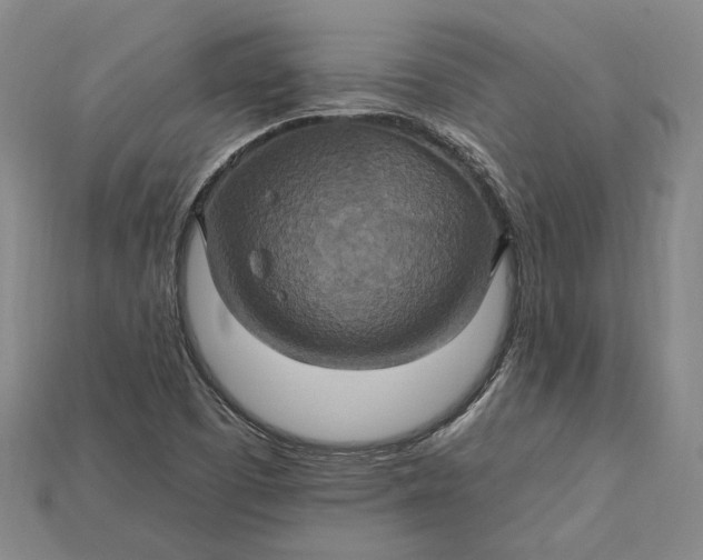 X0000115201457200911121832