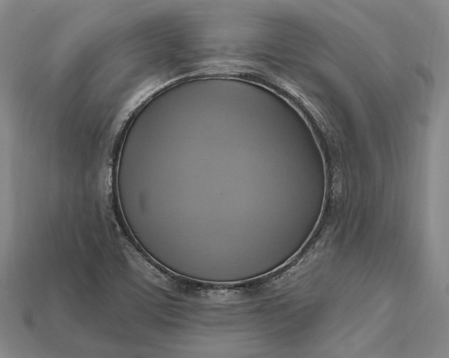 X0000115201459200911121832