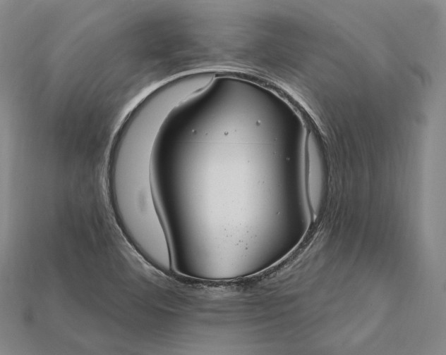 X0000115201460200911121832