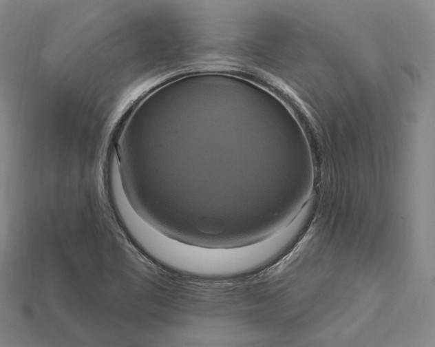 X0000115201461200911121832