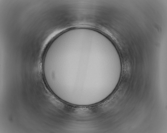 X0000115201462200911121832